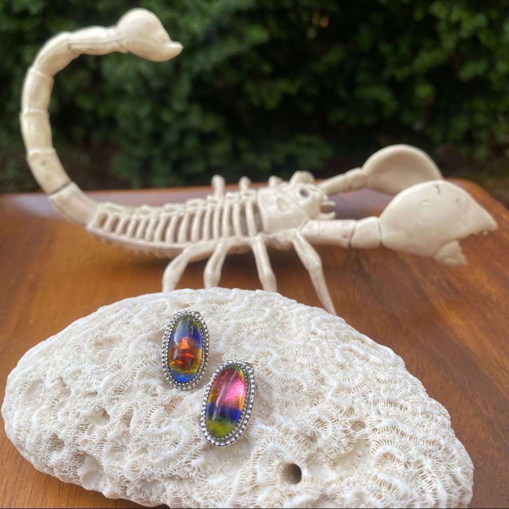 Whiting Davis Iris (Rainbow) Glass Clip Earrings